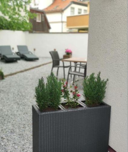 Regiohotel Germania Am Kurpark 바트하르추부르크 외부 사진