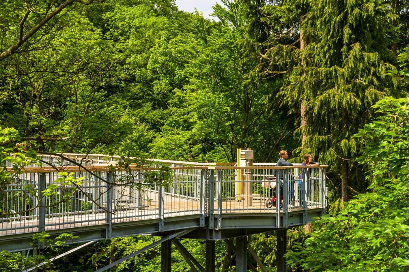 Regiohotel Germania Am Kurpark 바트하르추부르크 외부 사진